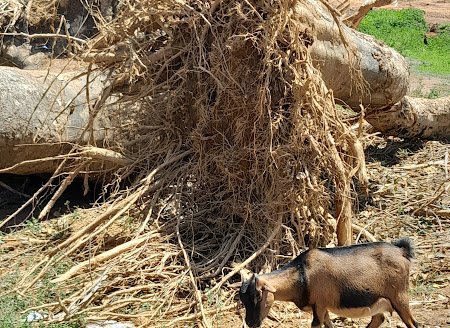 WhatsApp Image 2024-05-21 at 16.52.16(4)